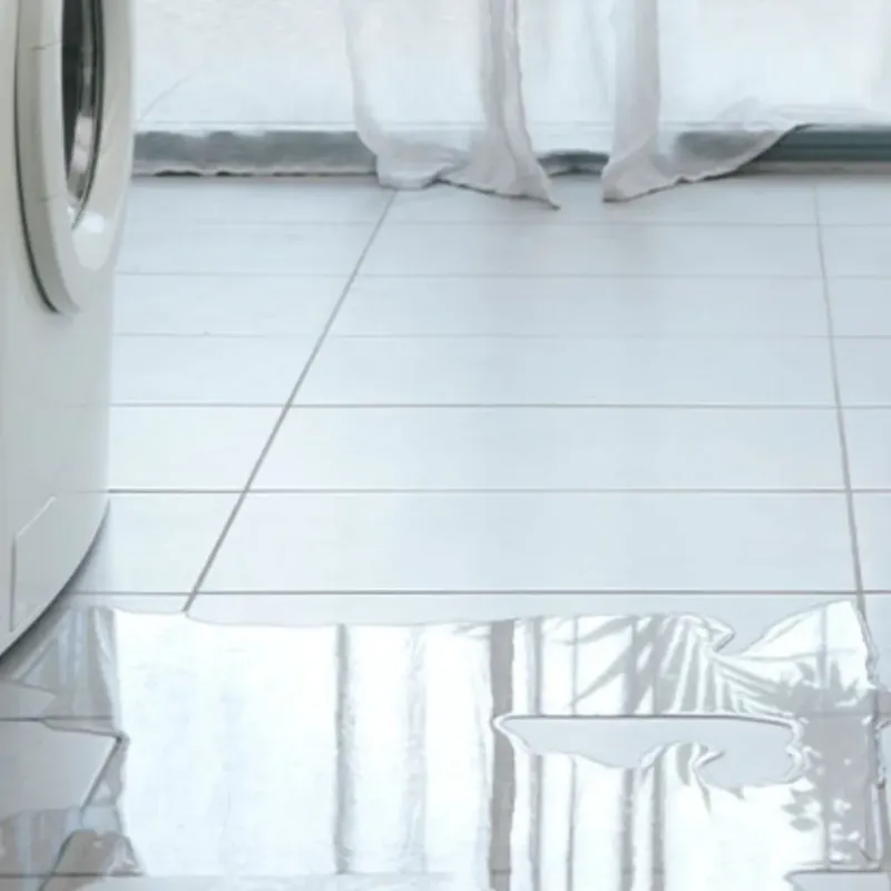 Appliance Leak Cleanup in Albany, TX