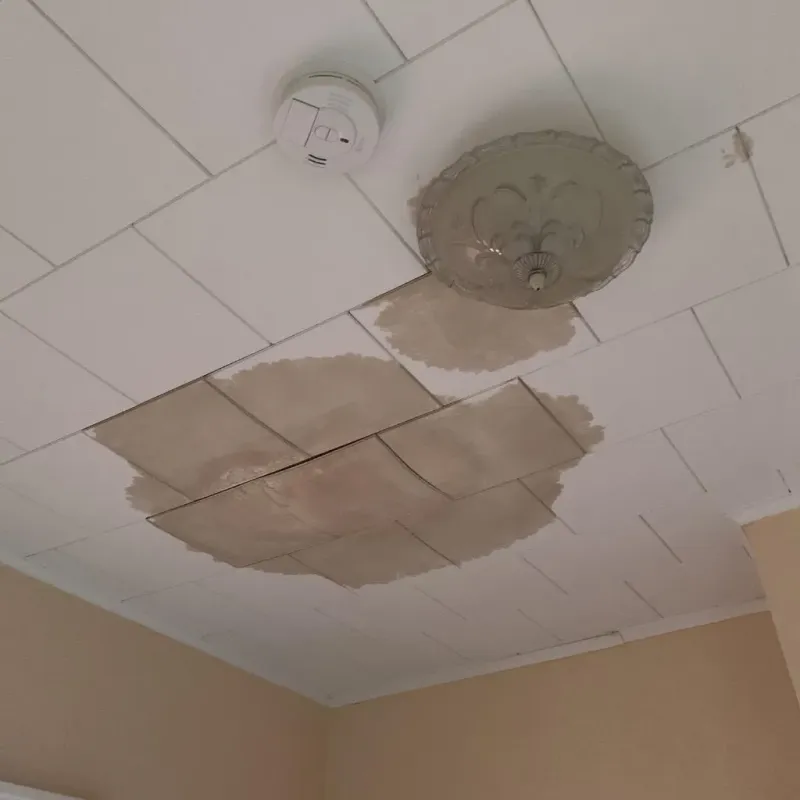 Ceiling Water Damage Repair in Albany, TX